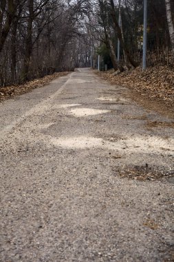 Kışın bulutlu bir günde, bir dağın eteklerinde çıplak ağaçlarla çevrili bir parkta dolambaçlı bir yol.