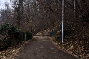 Kışın bulutlu bir günde, bir dağın eteklerinde çıplak ağaçlarla çevrili bir parkta dolambaçlı bir yol.