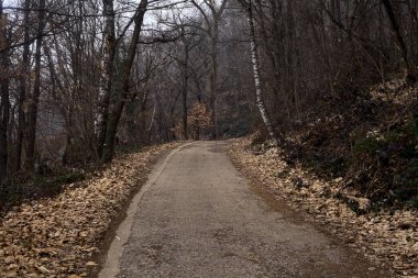 Kışın bulutlu bir günde, bir dağın eteklerinde çıplak ağaçlarla çevrili bir parkta dolambaçlı bir yol.