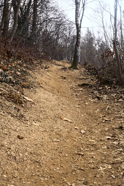 Steep Dirt Trail Cliff Park Mountain Cloudy Day Winter — Stock Photo, Image