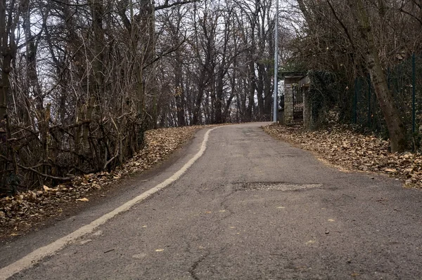 stock image Road in a park on a mountain with the entrance gate of a house on a cloudy day