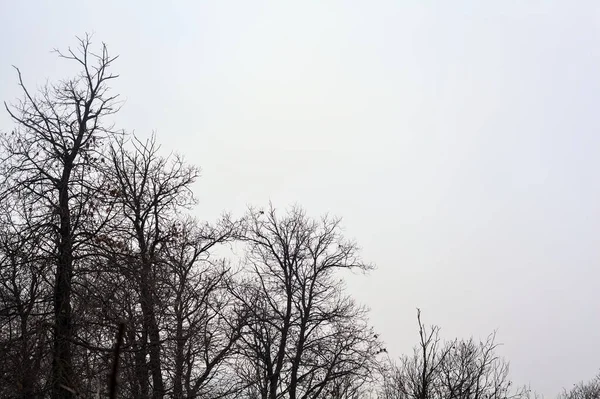 구름낀 산비탈에 — 스톡 사진