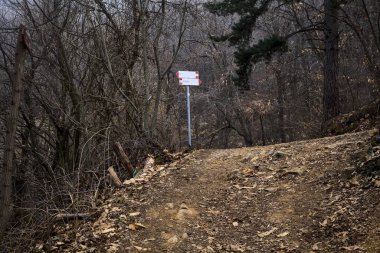 Kışın bulutlu bir günde, dağdaki bir ormanda bir virajla toprak yol arasındaki çatal.