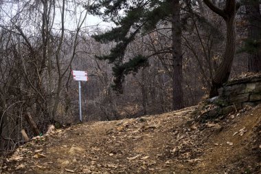 Kışın bulutlu bir günde, dağdaki bir ormanda bir virajla toprak yol arasındaki çatal.