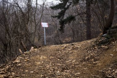 Kışın bulutlu bir günde, dağdaki bir ormanda bir virajla toprak yol arasındaki çatal.