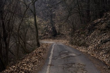 Kışın bulutlu bir günde, bir dağın eteklerinde çıplak ağaçlarla çevrili bir parkta dolambaçlı bir yol.