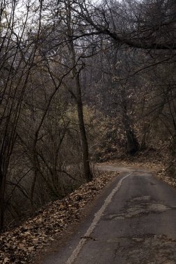 Kışın bulutlu bir günde, bir dağın eteklerinde çıplak ağaçlarla çevrili bir parkta dolambaçlı bir yol.