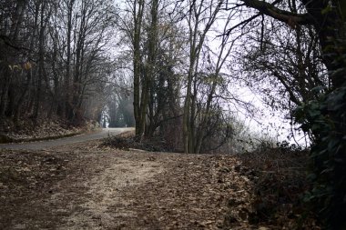 Kışın bulutlu bir günde, dağdaki bir ormanda bir virajla toprak yol arasındaki çatal.