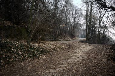 Kışın bulutlu bir günde, dağdaki bir ormanda bir virajla toprak yol arasındaki çatal.