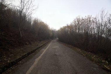 Bulutlu bir günde dağda bir ormanda yol