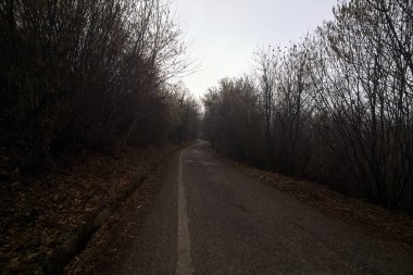 Bulutlu bir günde dağda bir ormanda yol