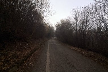 Bulutlu bir günde dağda bir ormanda yol