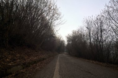 Bulutlu bir günde dağda bir ormanda yol
