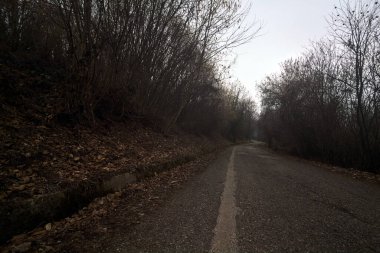 Bulutlu bir günde dağda bir ormanda yol