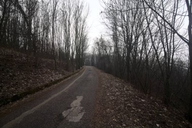 Kışın bulutlu bir günde, bir dağın eteklerinde çıplak ağaçlarla çevrili bir parkta dolambaçlı bir yol.