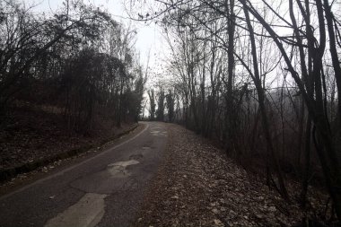 Kışın bulutlu bir günde, bir dağın eteklerinde çıplak ağaçlarla çevrili bir parkta dolambaçlı bir yol.