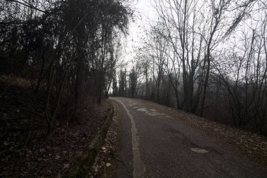 Kışın bulutlu bir günde, bir dağın eteklerinde çıplak ağaçlarla çevrili bir parkta dolambaçlı bir yol.