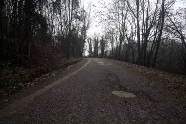 Kışın bulutlu bir günde, bir dağın eteklerinde çıplak ağaçlarla çevrili bir parkta dolambaçlı bir yol.