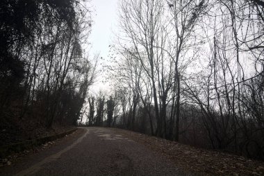 Kışın bulutlu bir günde, bir dağın eteklerinde çıplak ağaçlarla çevrili bir parkta dolambaçlı bir yol.