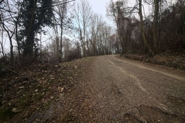 Kışın bulutlu bir günde, bir dağın eteklerinde çıplak ağaçlarla çevrili bir parkta dolambaçlı bir yol.
