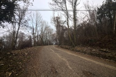 Kışın bulutlu bir günde, bir dağın eteklerinde çıplak ağaçlarla çevrili bir parkta dolambaçlı bir yol.