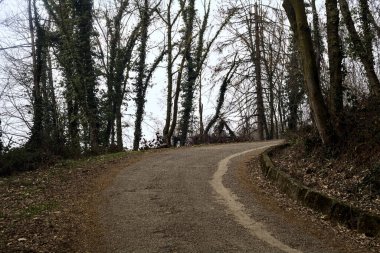 Kışın bulutlu bir günde, bir dağın eteklerinde çıplak ağaçlarla çevrili bir parkta dolambaçlı bir yol.