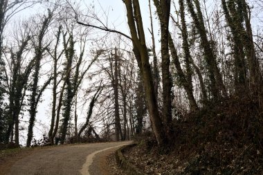 Kışın bulutlu bir günde, bir dağın eteklerinde çıplak ağaçlarla çevrili bir parkta dolambaçlı bir yol.