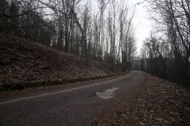 Kışın bulutlu bir günde, bir dağın eteklerinde çıplak ağaçlarla çevrili bir parkta dolambaçlı bir yol.