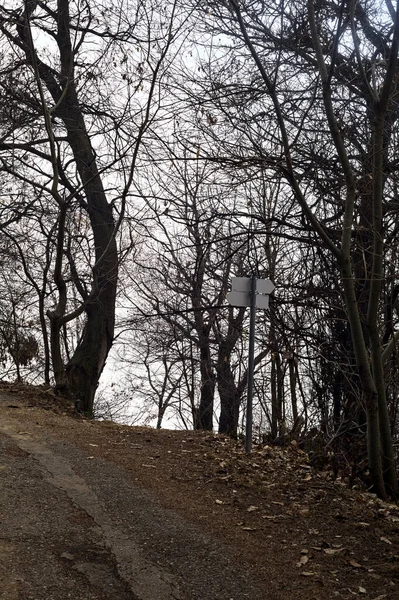 stock image Fork between a bend in road and a dirt trail in a forest on a mountain on a cloudy day in winter