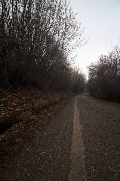 stock image Road in a forest on a mountain on a cloudy day