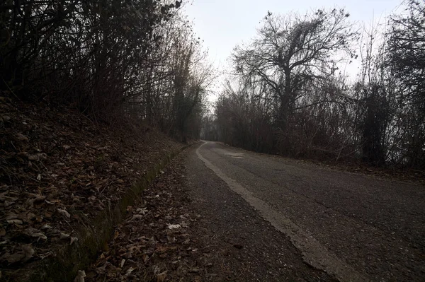 曇りの日に山の上の森の中の道路 — ストック写真