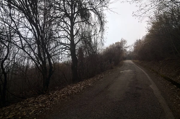 Straße Wald Auf Einem Berg Einem Bewölkten Tag — Stockfoto