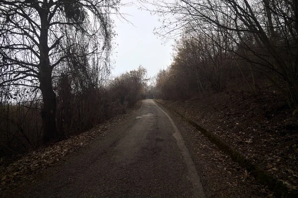 曇りの日に山の上の森の中の道路 — ストック写真