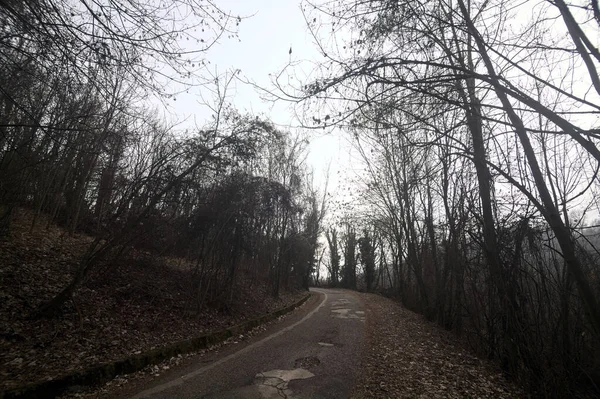 冬の曇りの日には裸の木で公園内の曲がりくねった道を覆い 山の上でそれを縁取る — ストック写真