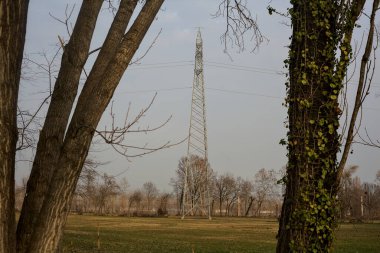 İtalya kırsalında gün batımında çıplak ağaçlar ve bir sütunla park et.