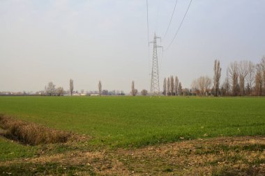 Gün batımında ekili tarlalar, üzerinde sütunlar ve kablolar var.