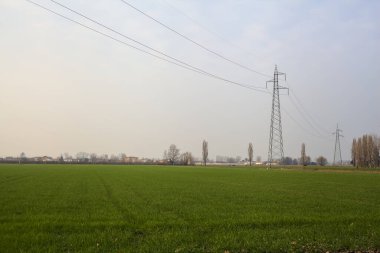 Gün batımında ekili tarlalar, üzerinde sütunlar ve kablolar var.