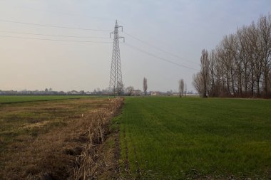 Gün batımında ekili tarlalar, üzerinde sütunlar ve kablolar var.