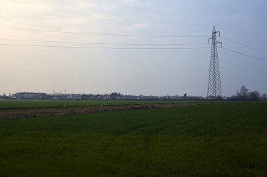 Gün batımında ekili tarlalar, üzerinde sütunlar ve kablolar var.