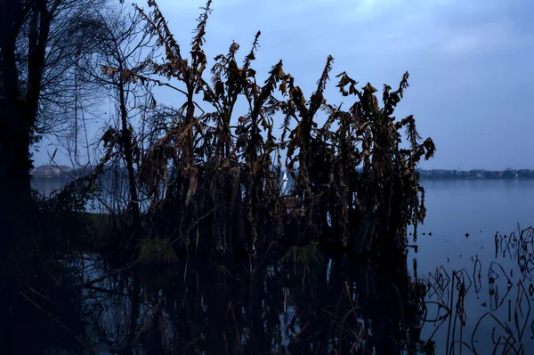 See Bei Sonnenuntergang Einem Bewölkten Tag Und Ein Von Bäumen — Stockfoto