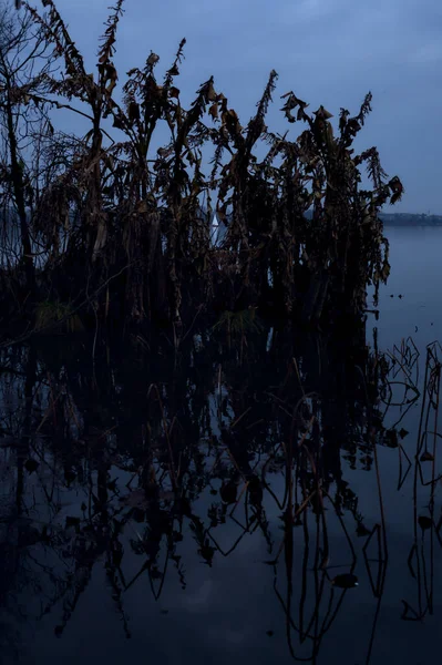 See Bei Sonnenuntergang Einem Bewölkten Tag Und Ein Von Bäumen — Stockfoto