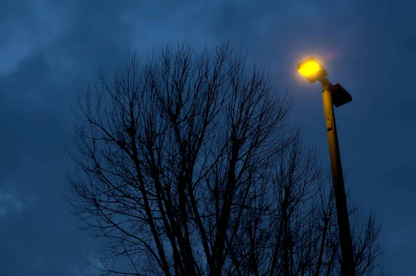 黄昏时分 街上灯火通明 天空阴云密布 树木光秃秃 — 图库照片