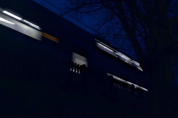 夕暮れ時に橋から見える公園内の堤防を通過する列車 — ストック写真