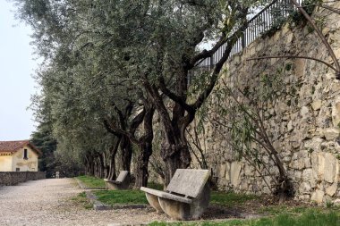 Bulutlu bir günde parkta, üzerinde banklar ve zeytin ağaçları olan bir taşın yanındaki patikada.