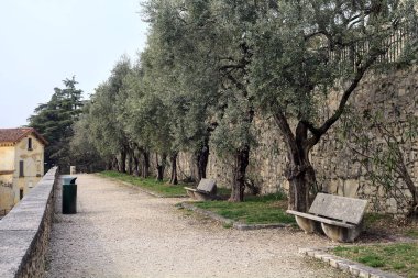 Bulutlu bir günde parkta, üzerinde banklar ve zeytin ağaçları olan bir taşın yanındaki patikada.