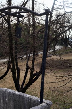 Üzerinde çıplak bir sürünme bitkisi olan balkon ve içinden görünen bir parktaki patika.