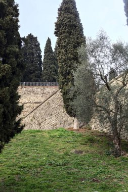 Bulutlu bir günde bir parkta, tepenin yanında ağaçlar.