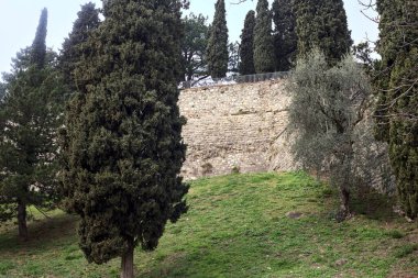 Bulutlu bir günde bir parkta, tepenin yanında ağaçlar.