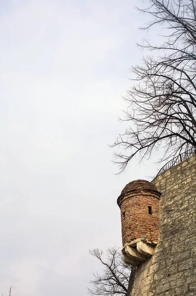 Outer boundary wall of a castle with trees and a cloudy sky as background