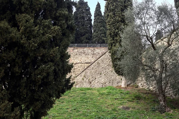 Trees on a slope next to a boundary wall in a park on a cloudy day